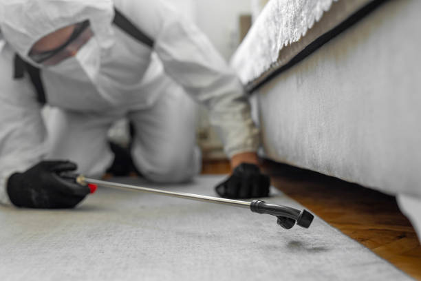 Professional Termite Control technician working in Decatur, MS