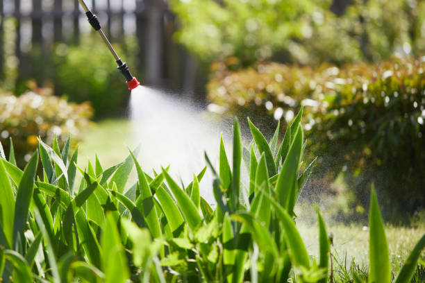 24/7 Emergency Termite Control experts in Decatur, MS