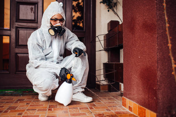 Reliable Termite Control contractor in Decatur, MS by Nex Pest Control