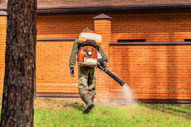 Trusted Termite Control service in Decatur, MS - Nex Pest Control